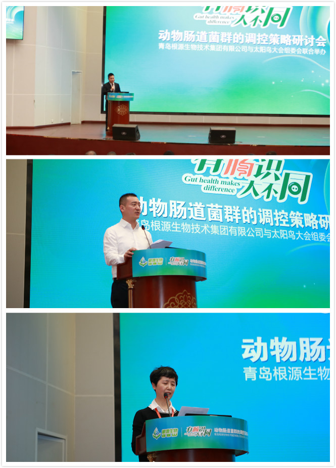 1524186885398621.jpg IMG_6947_meitu_1.jpg