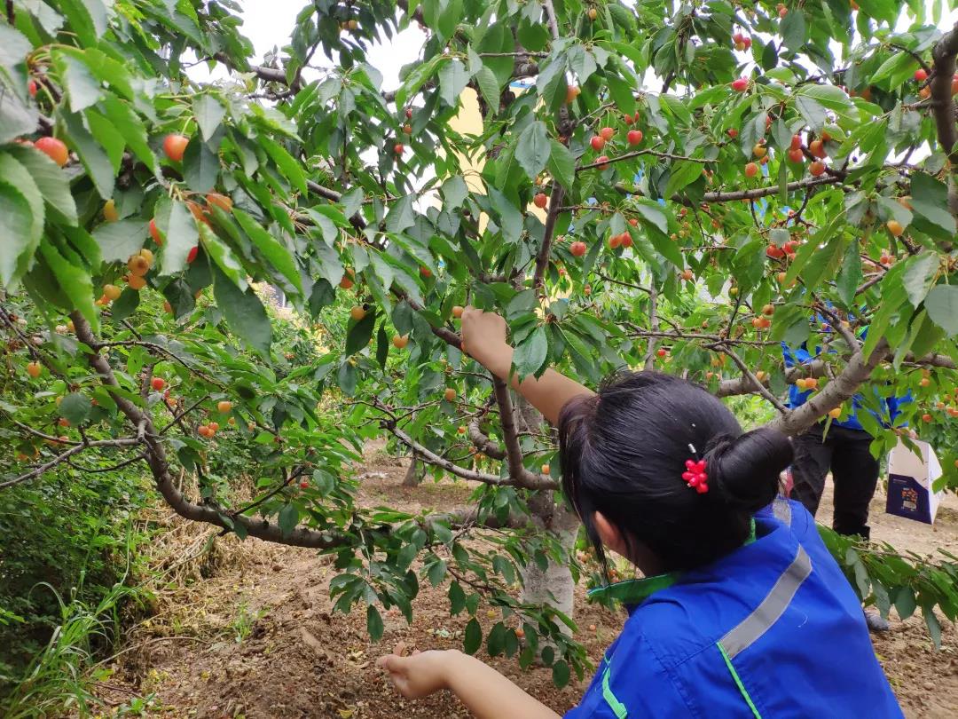 1562119692249225.jpg 4.jpg