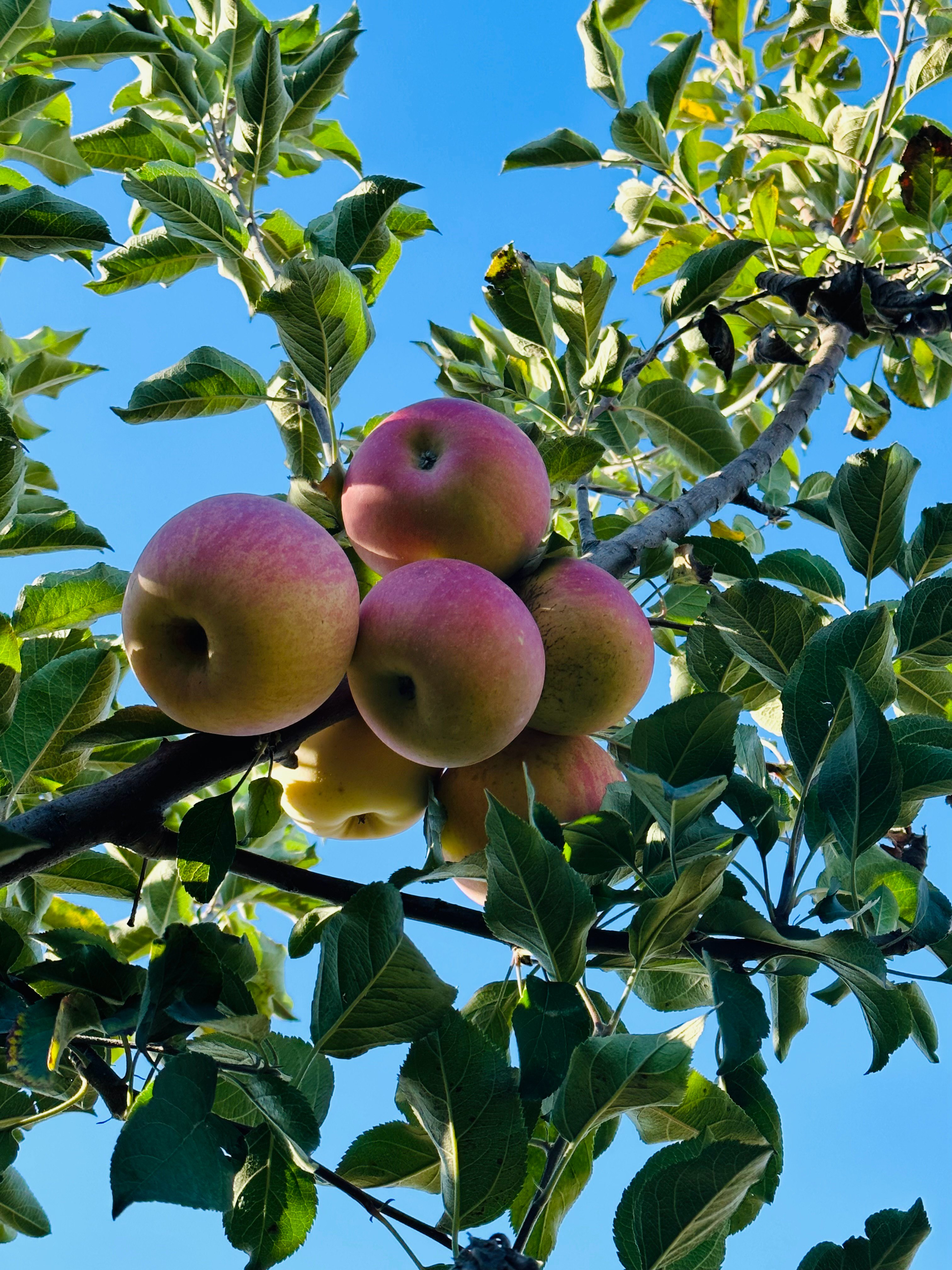 1700646399614952.jpg 3.jpg